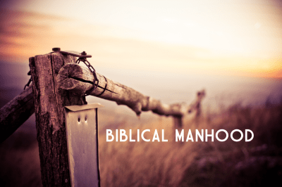 biblical manhood
